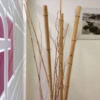 centro de fisioterapia en Castellón centro de fisioterapia en Castellón